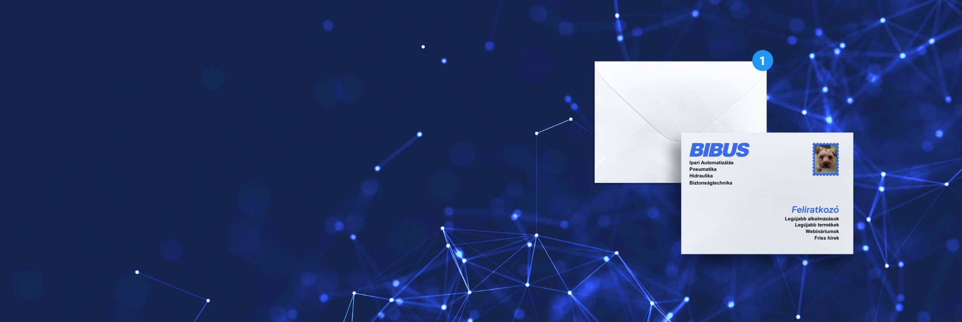 Iratkozzon fel hírlevelünkre!