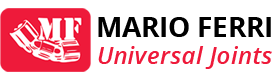 Mario ferri