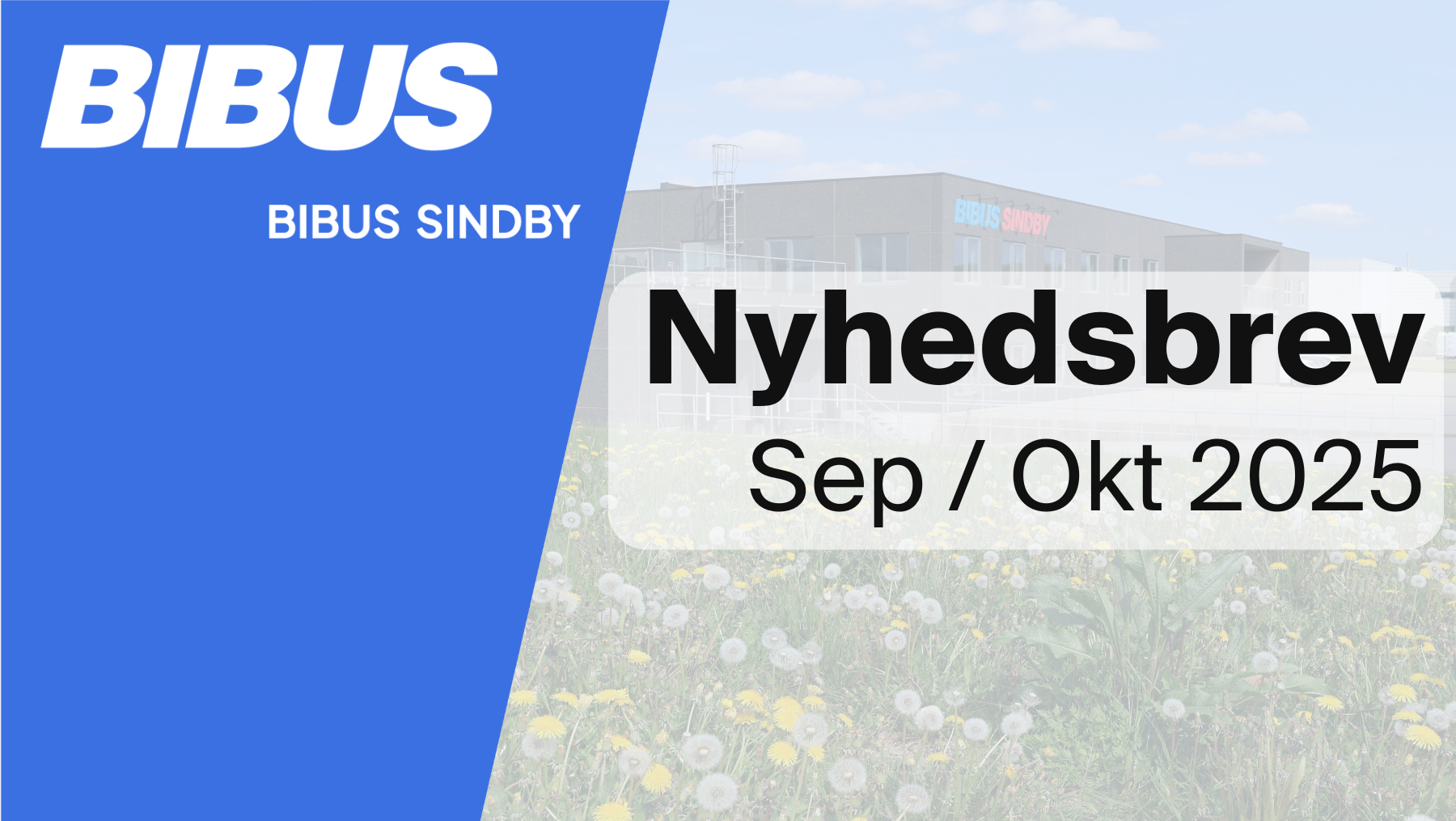 Nyhedsbrev Sep-Okt 2025