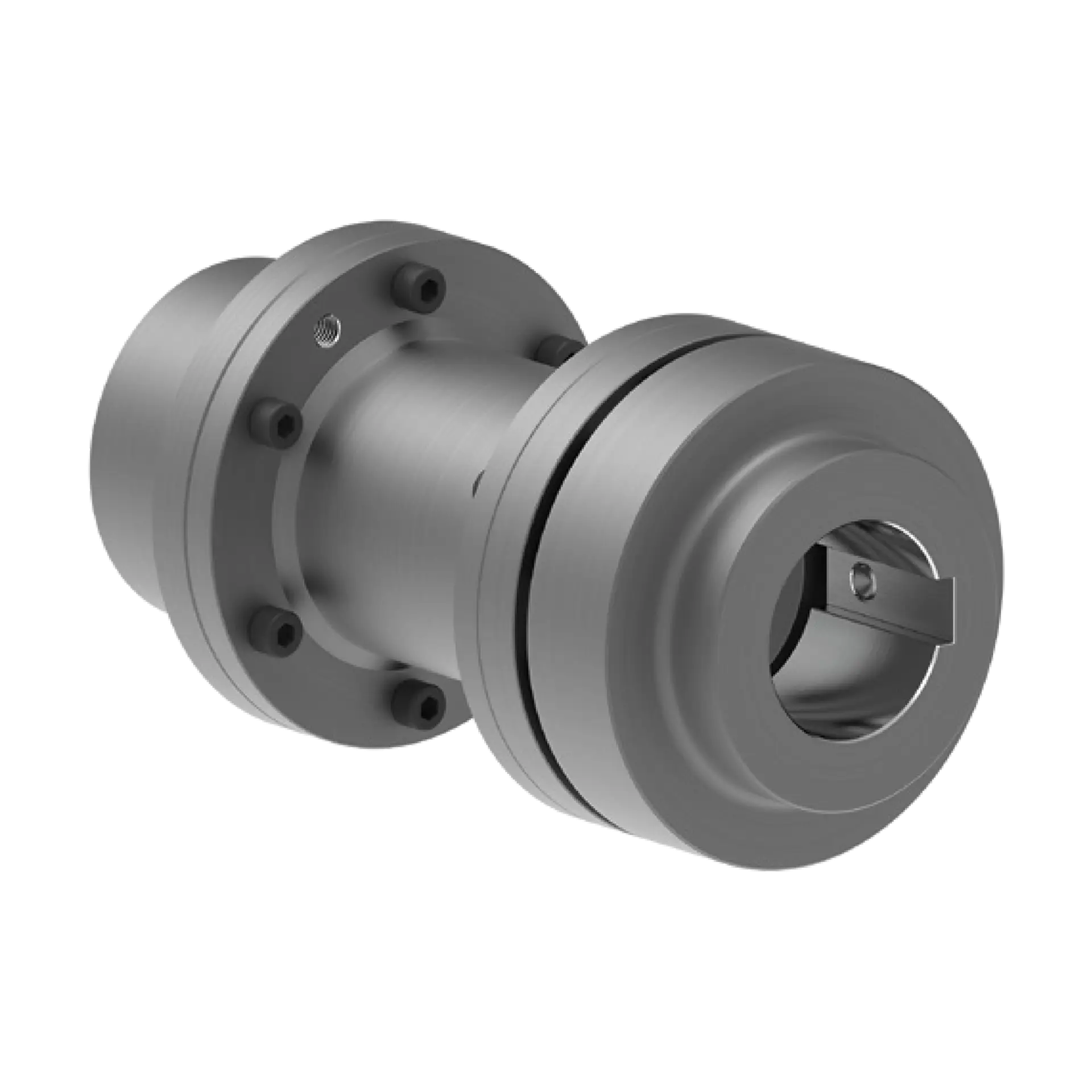 RLN H Tip Elastomer Çeneli Kaplinler