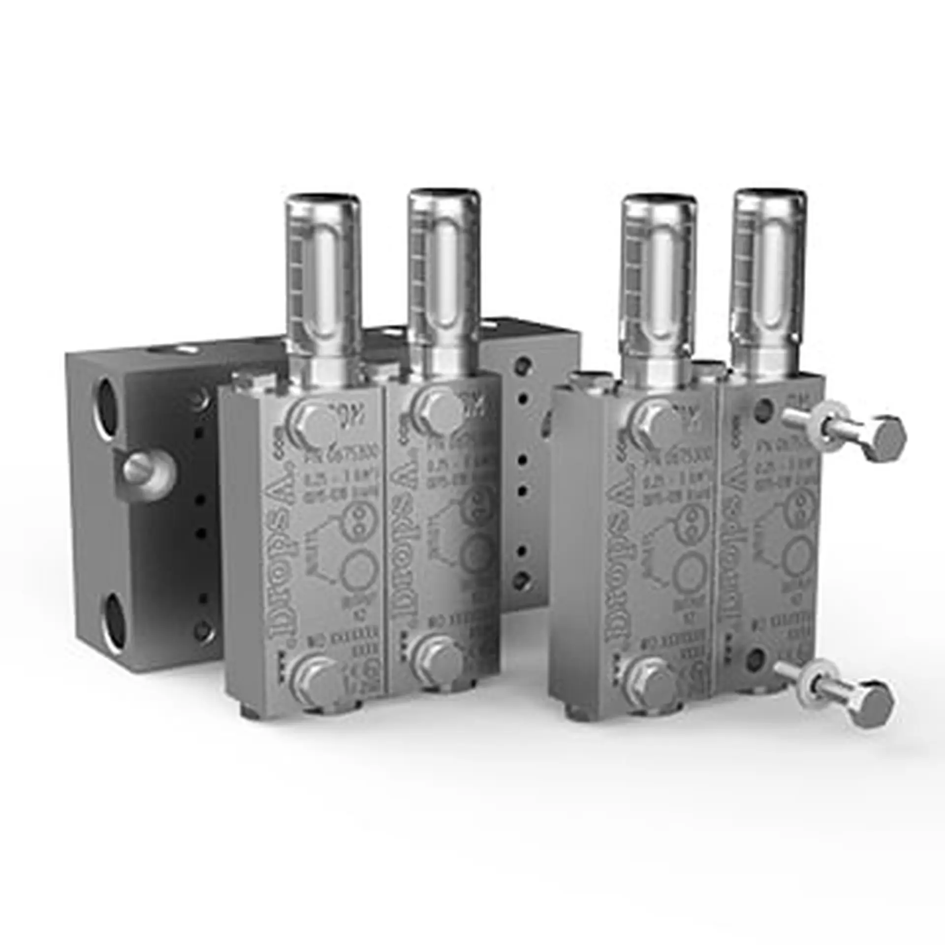 Dual Line automatic lubrication system