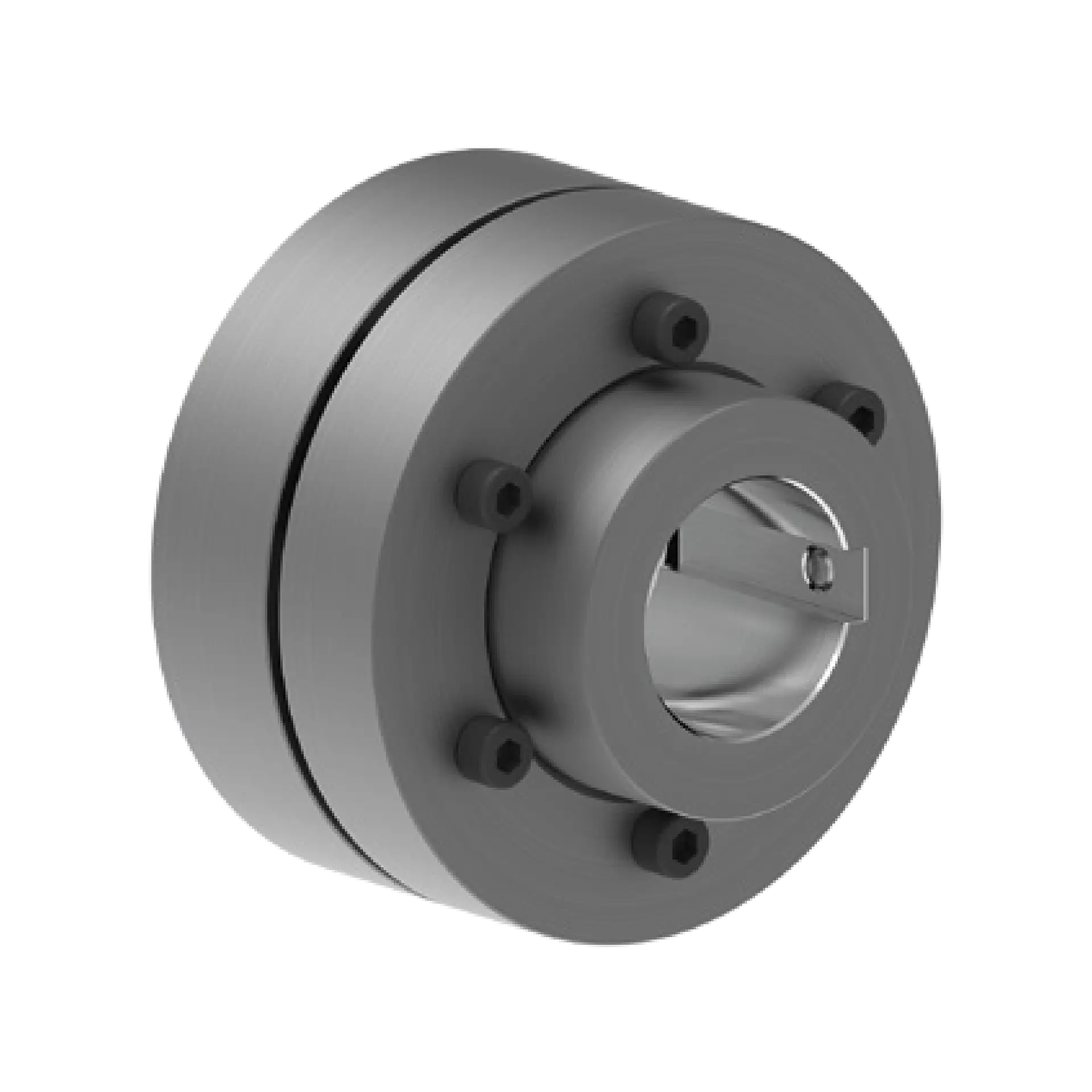RLN A Tip Elastomer Çeneli Kaplinler