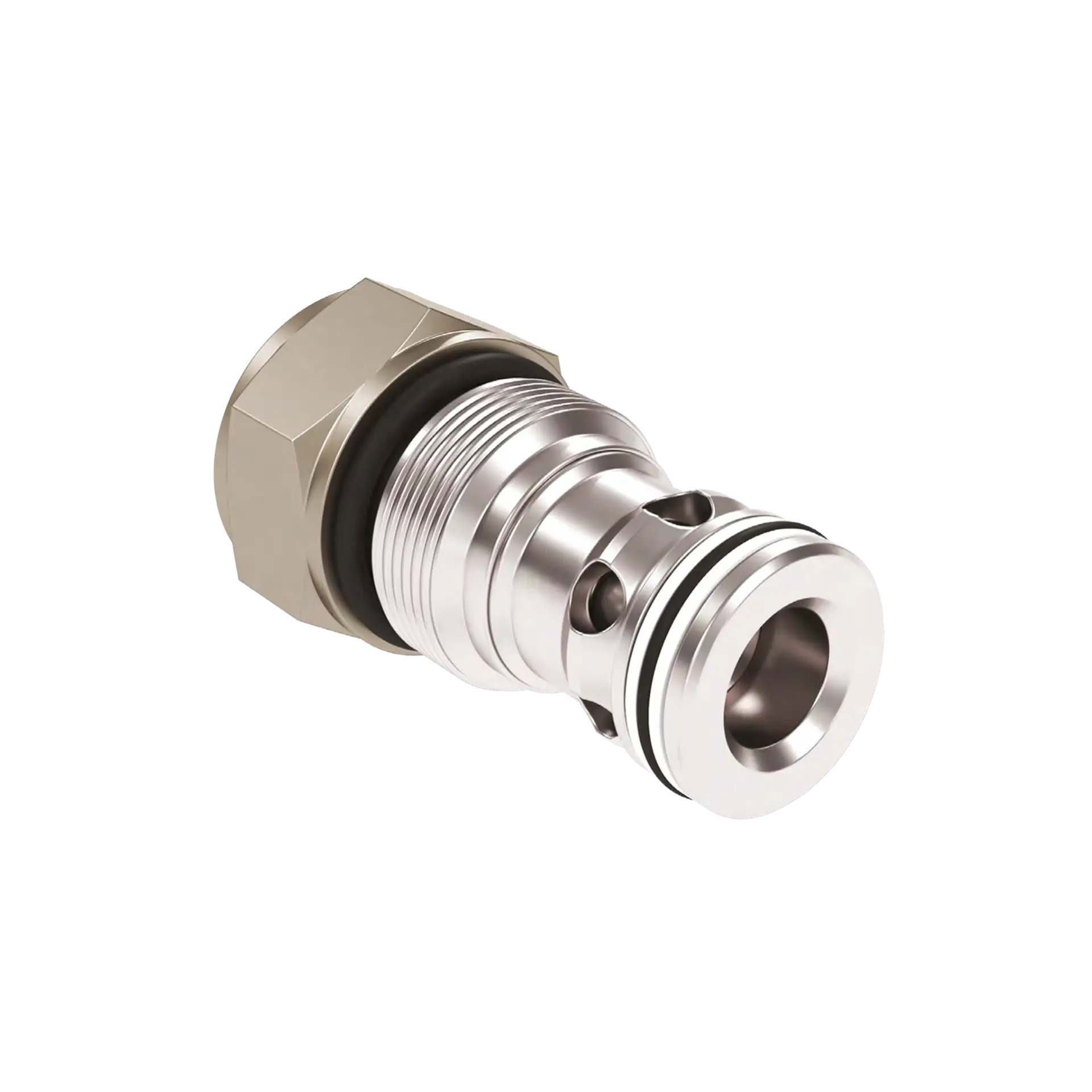 Check valves NRV and VCH