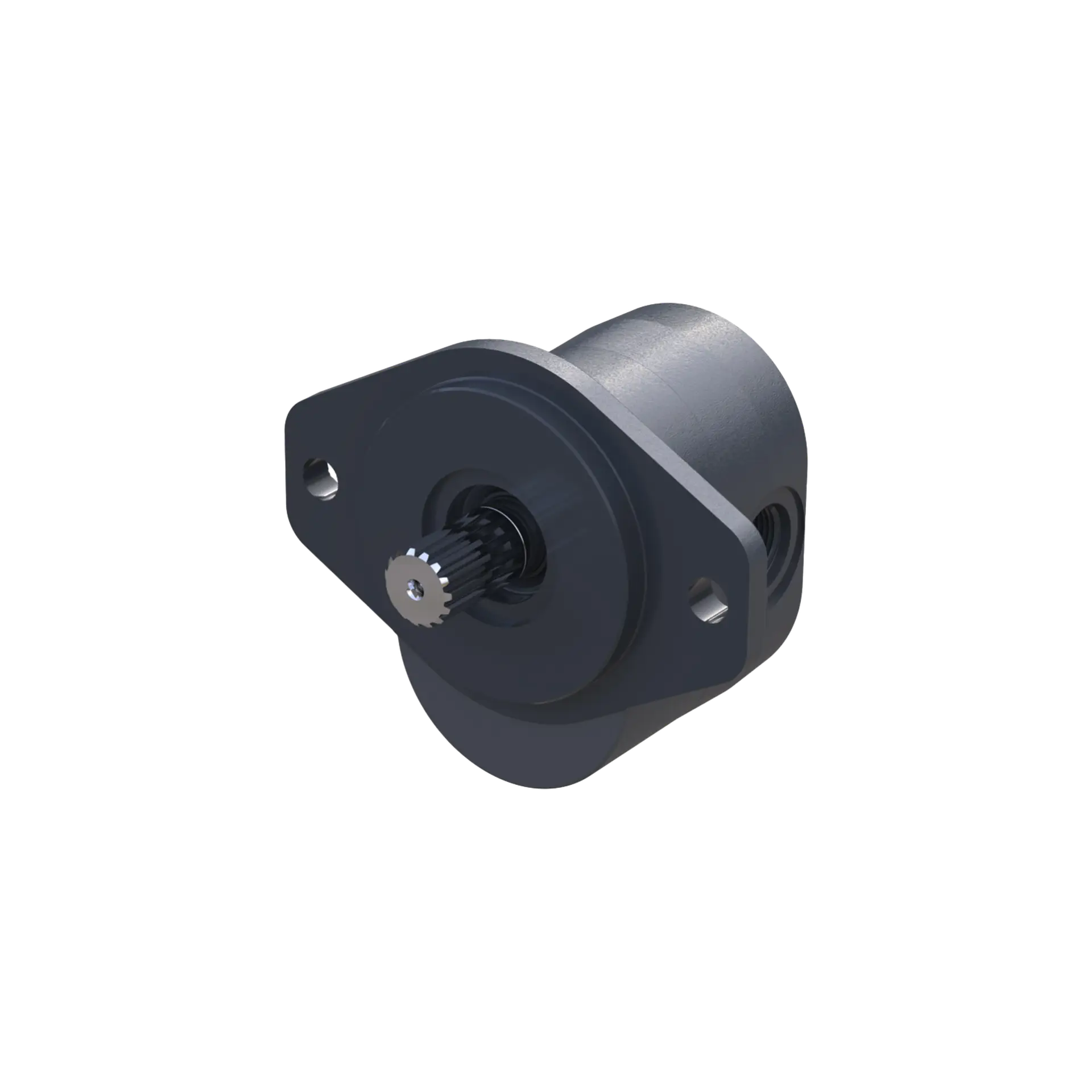 Gear pumps aluminium and cast iron