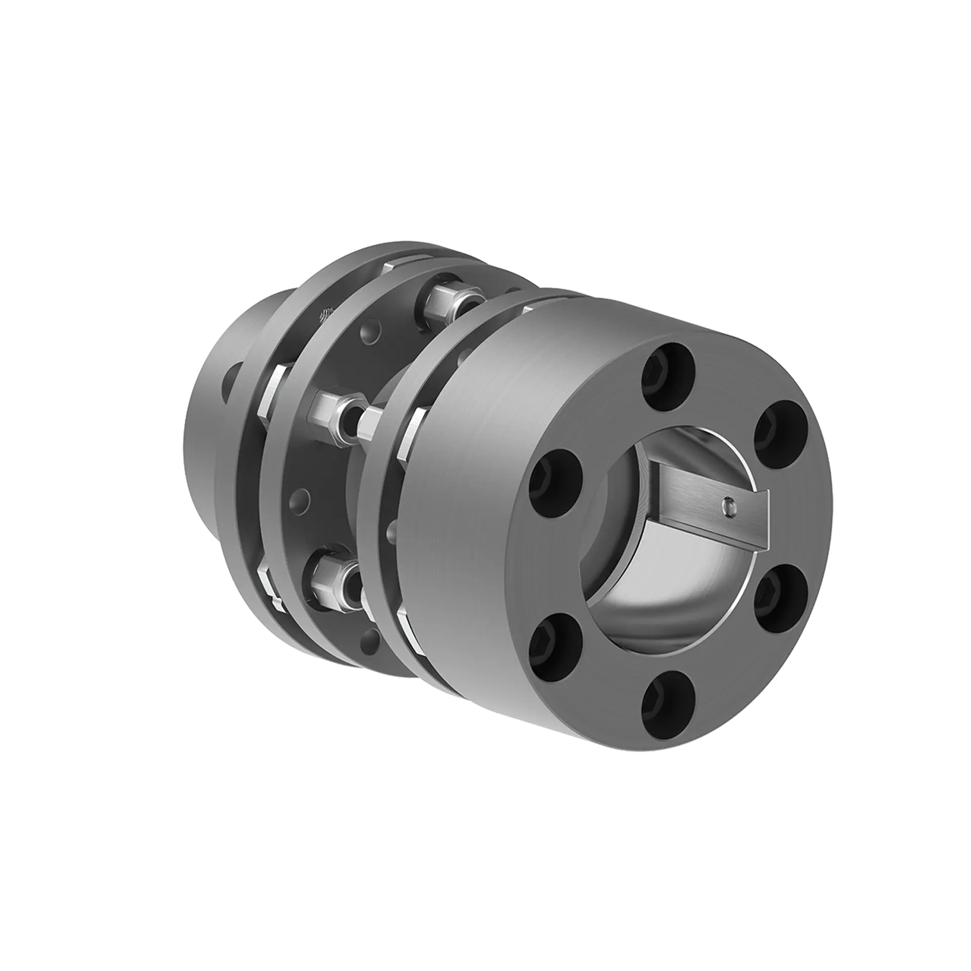RLDS BSB Type - Lamellar (Disc) Couplings