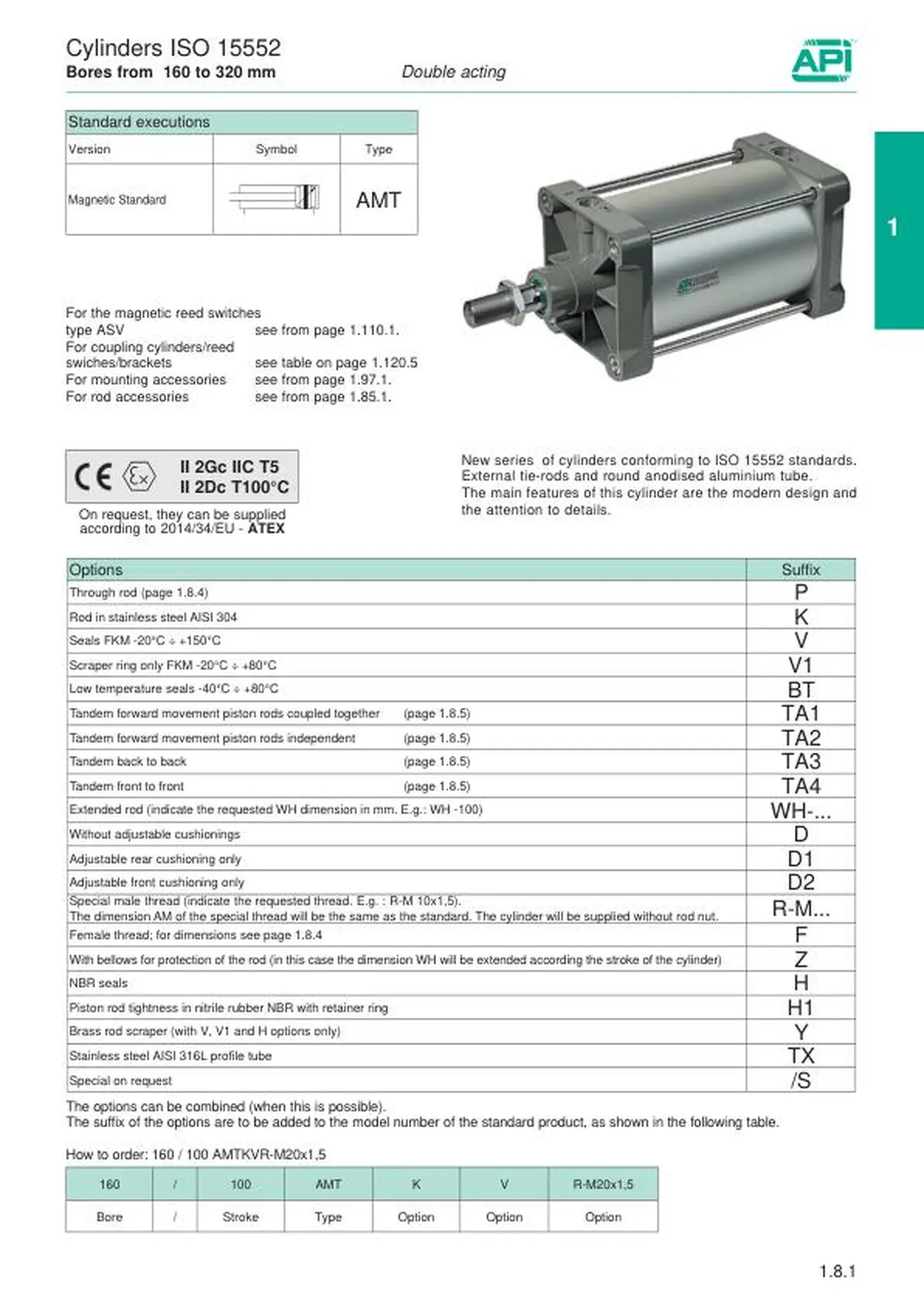 API_Cylinders_AMT.pdf