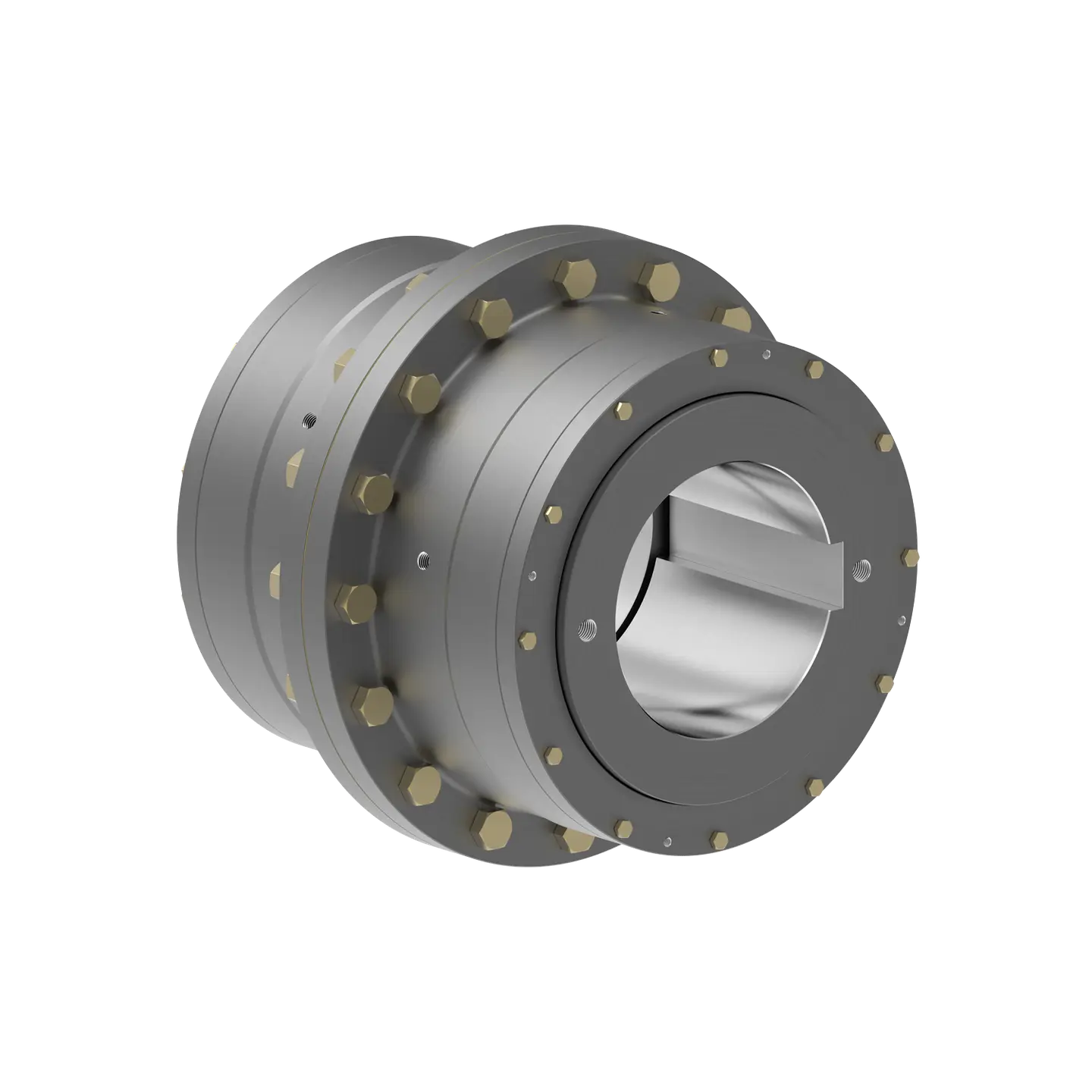 Sayfa 21 gear flex coupling - rgd - rgs.png