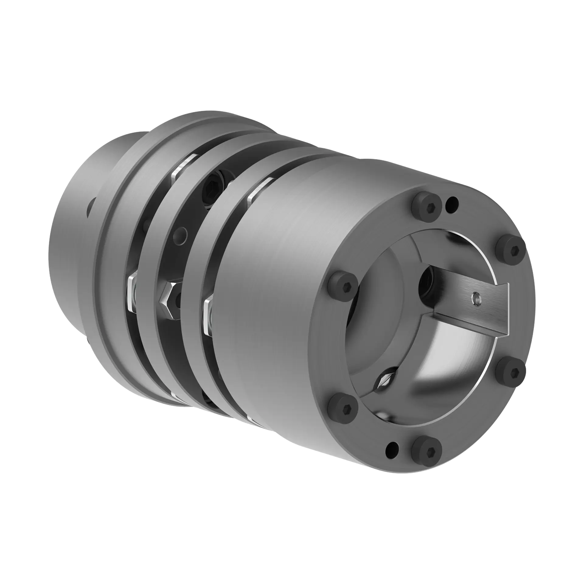 RLDM BAB Type – Disc/Plate Couplings
