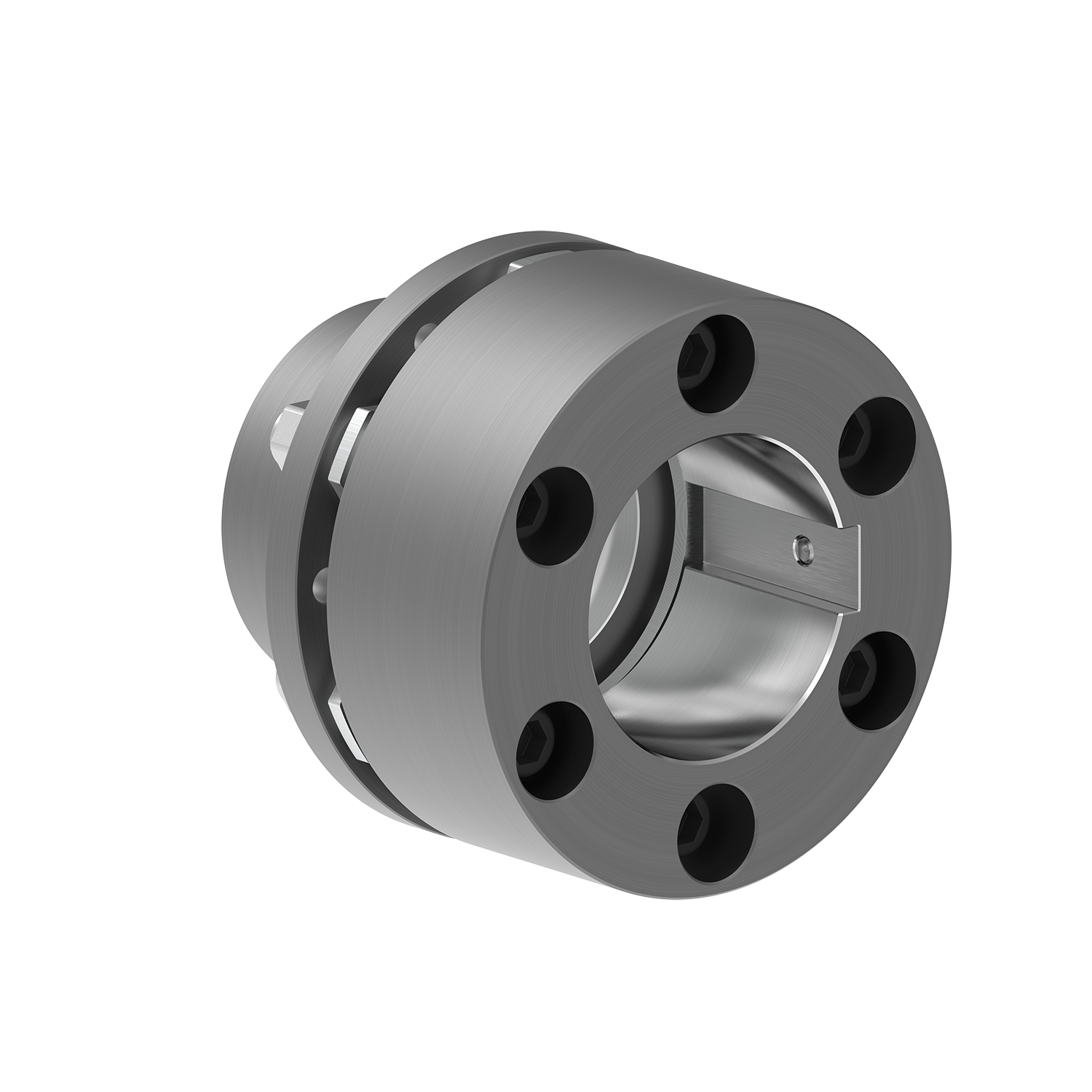 RLDS/BWB Tip - Lamelli Kaplinler