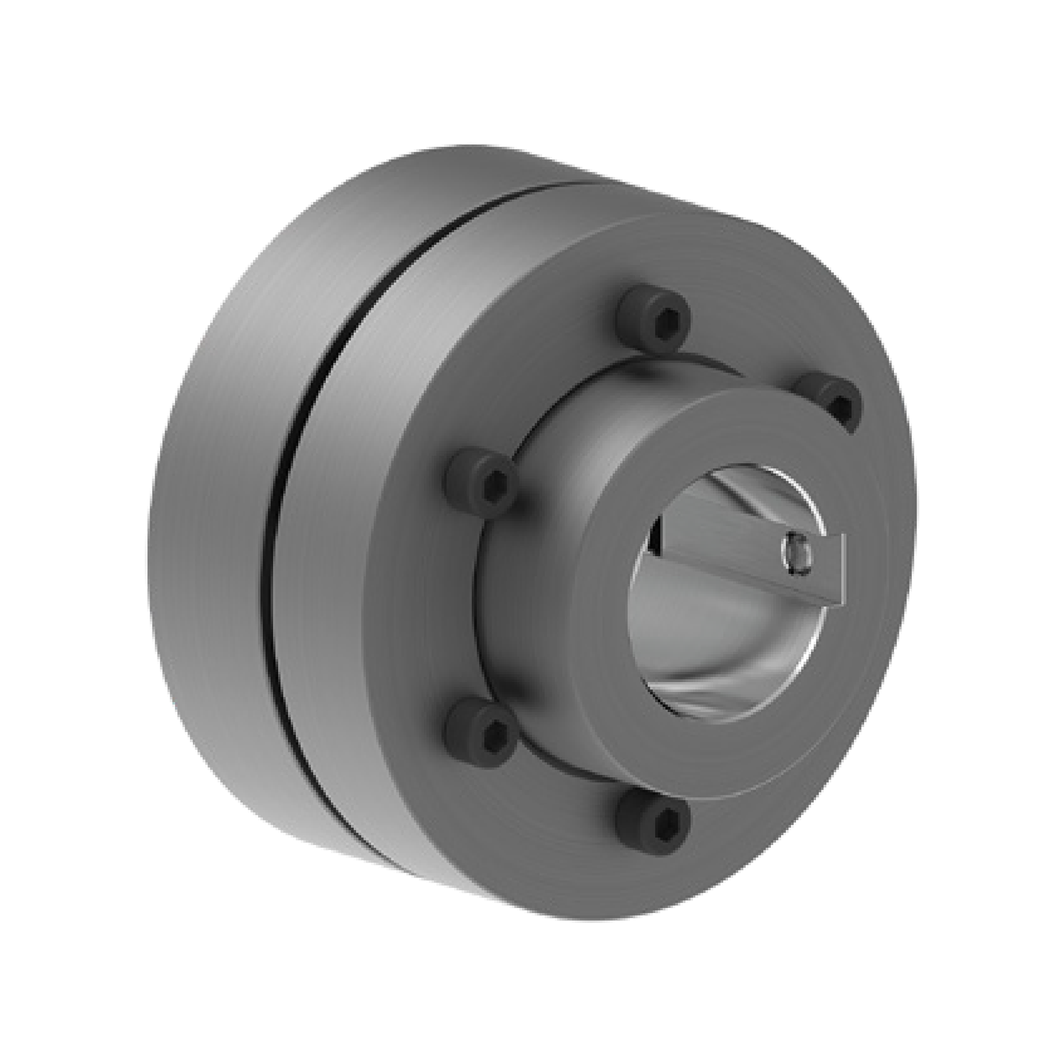 RLN A Tip Elastomer Çeneli Kaplinler