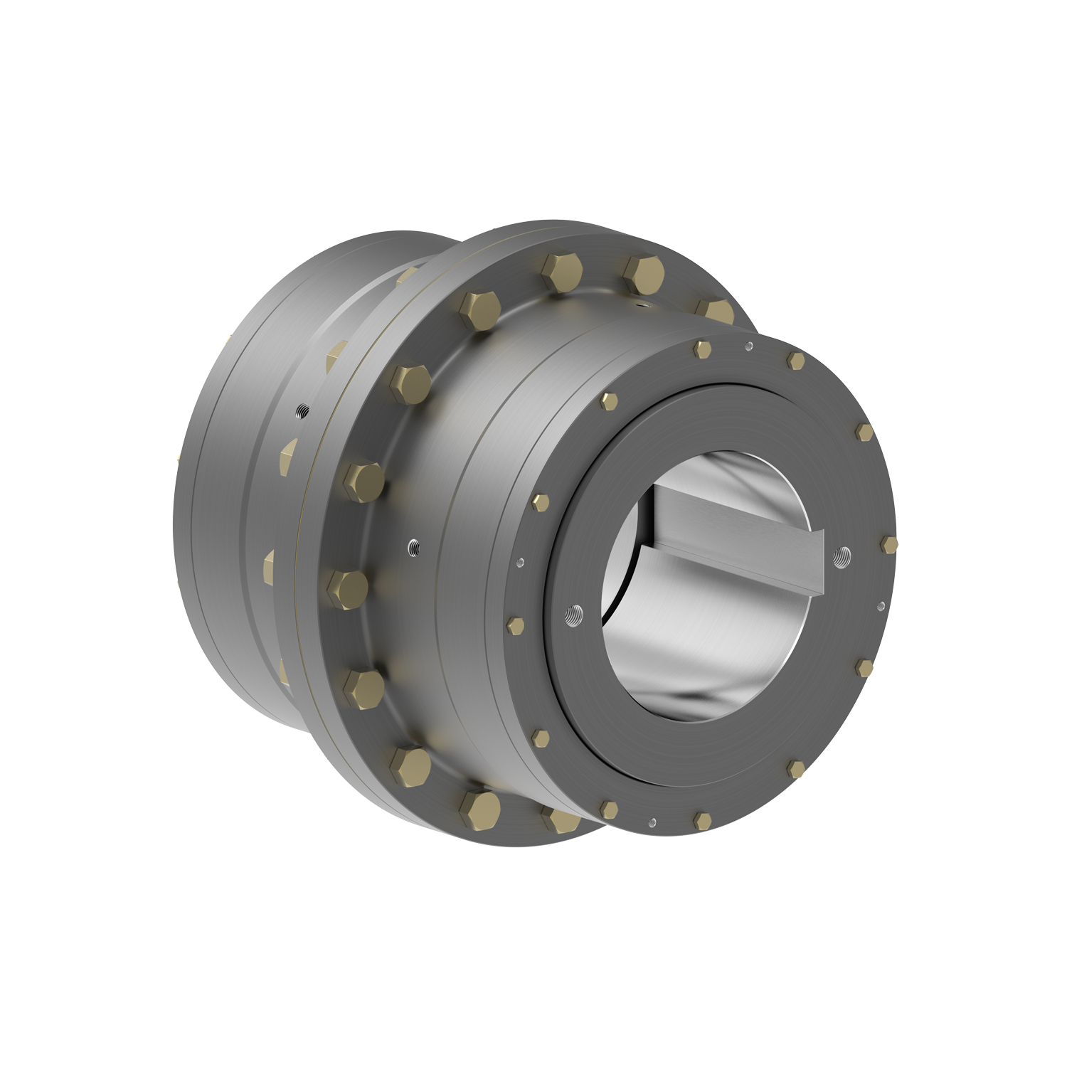 Sayfa 21 gear flex coupling - rgd - rgs.png