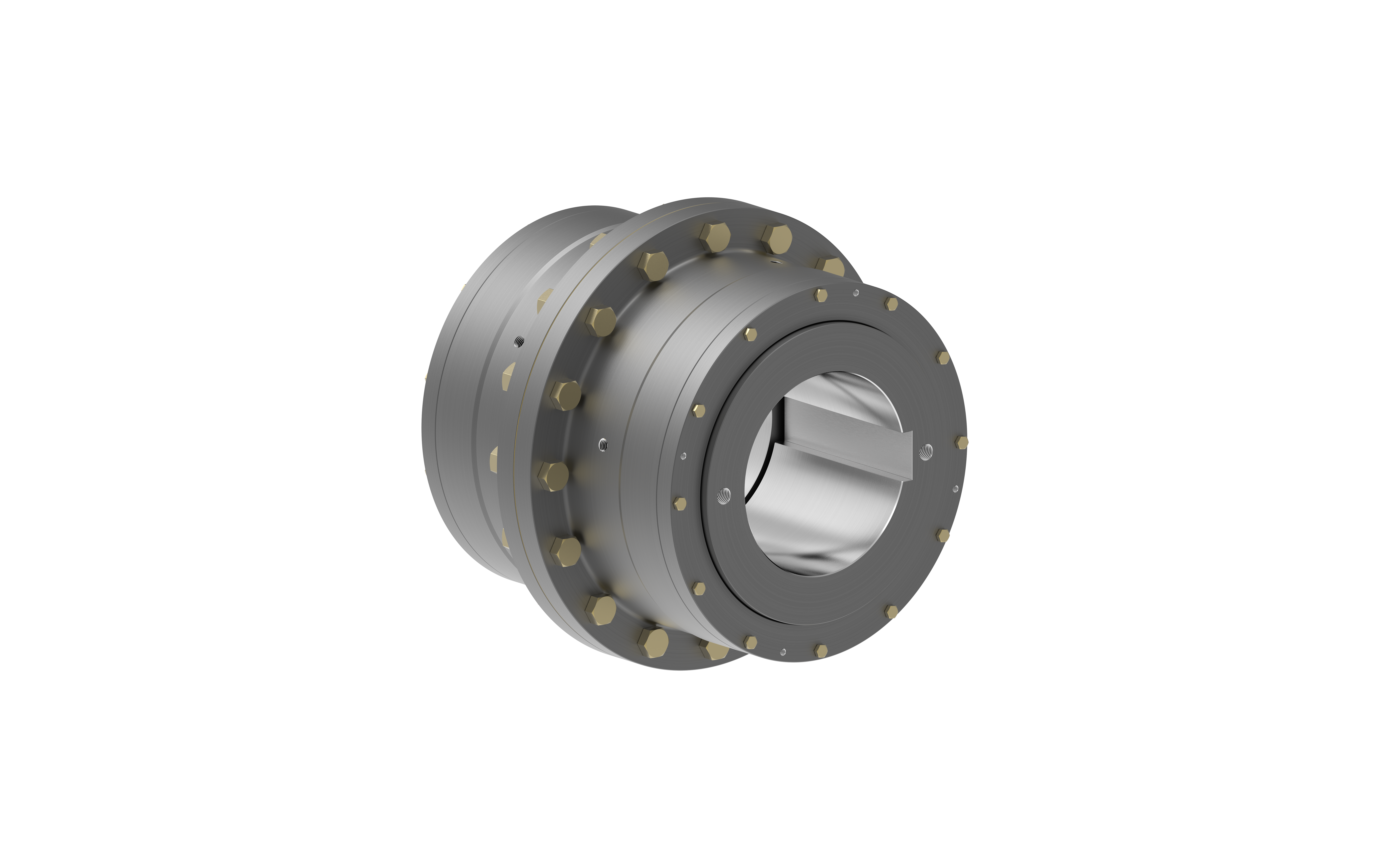 Sayfa 21 gear flex coupling - rgd - rgs.png