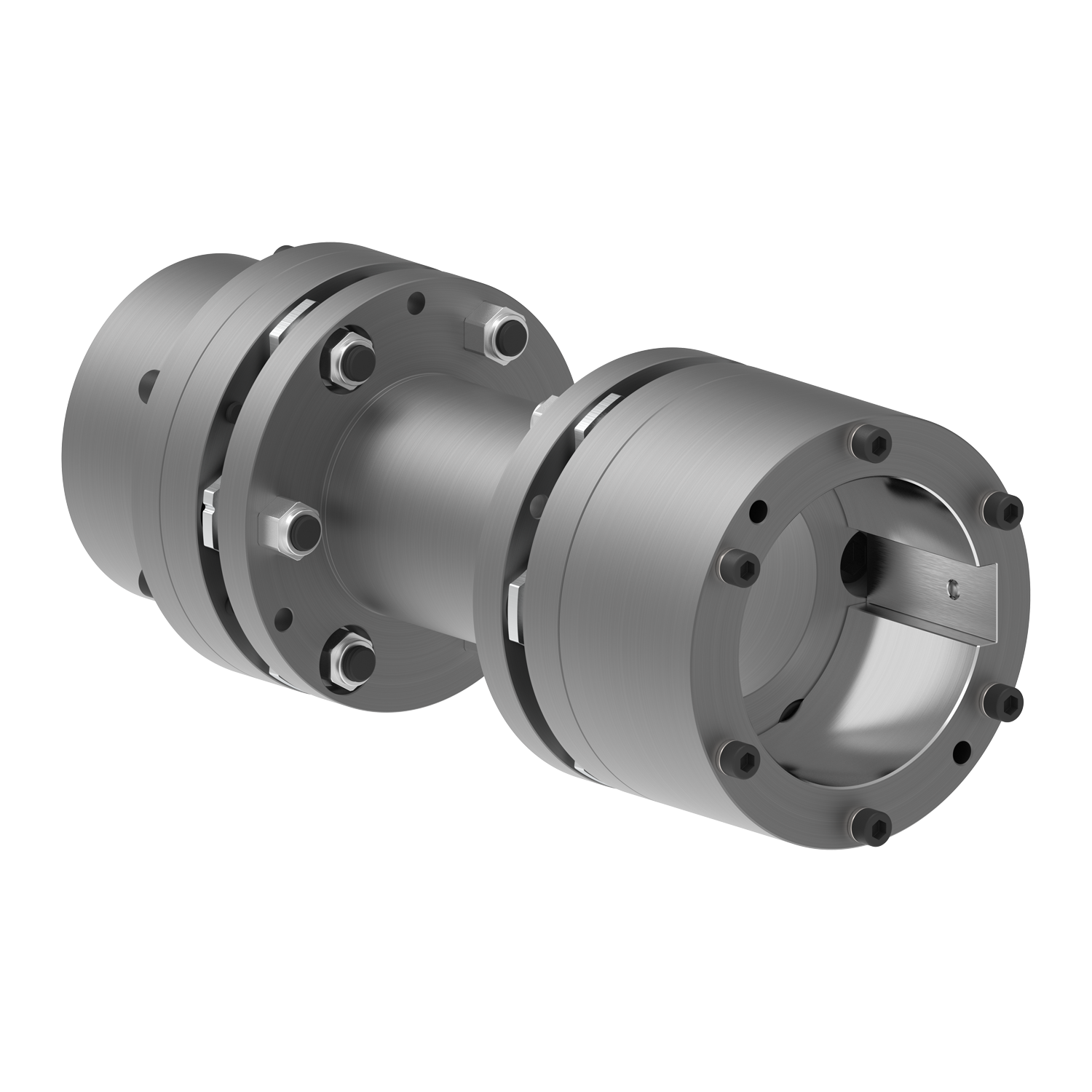 RLDS BAB Tip - Lamelli Kaplinler