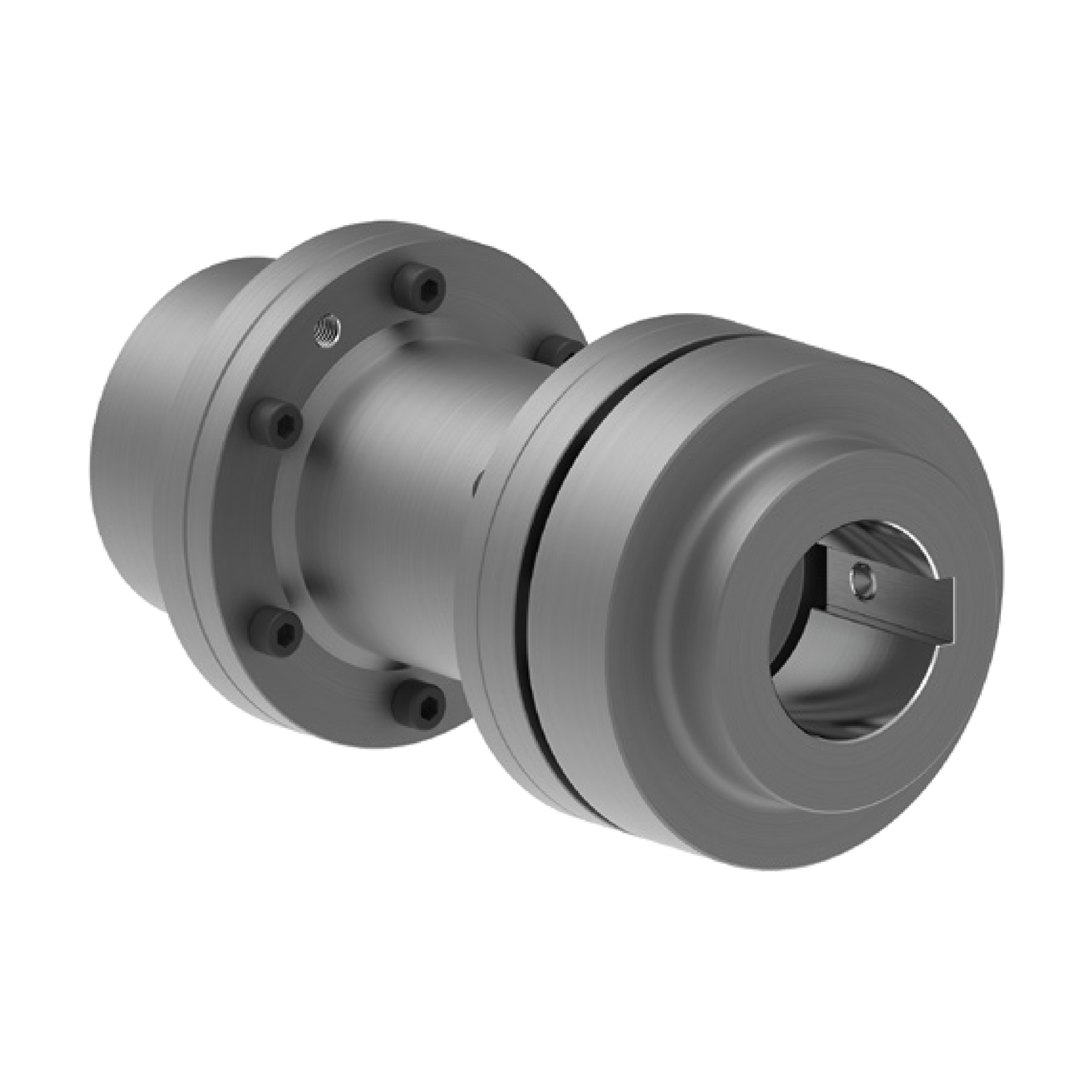 RLN H Tip Elastomer Çeneli Kaplinler