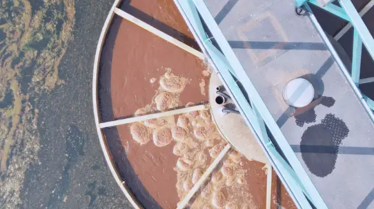 Assainissement-collectif-et-industriel-bannière-BIBUS-France