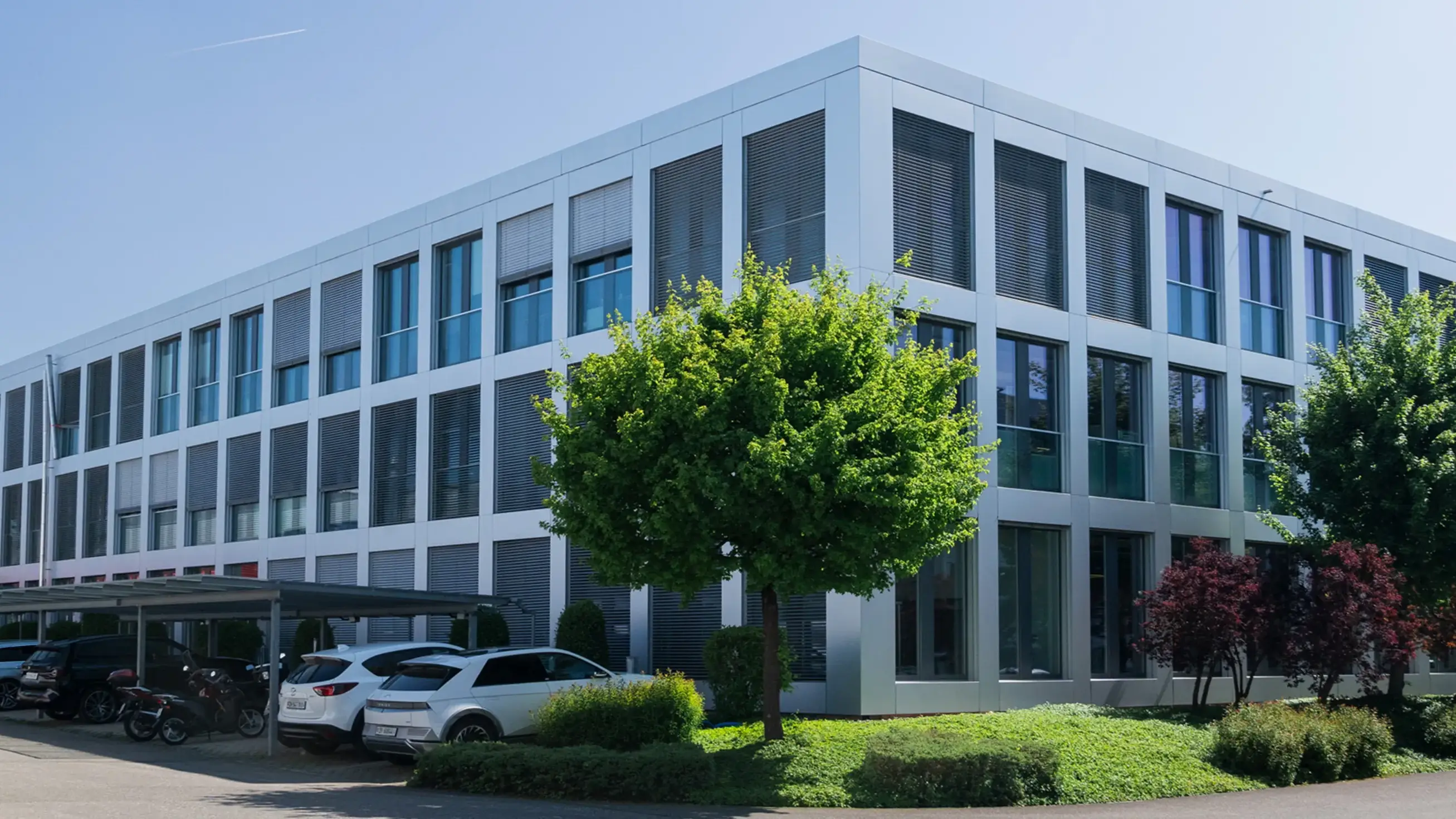 Customer Account Manager / Sales Assistant / Back Office Sales