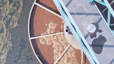 Collective and industrial sanitation