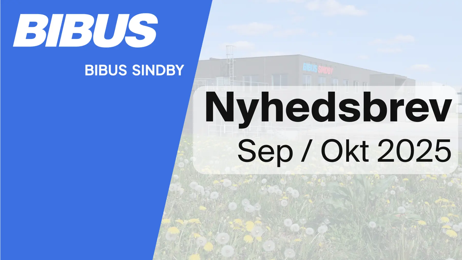 Nyhedsbrev Sep-Okt 2025