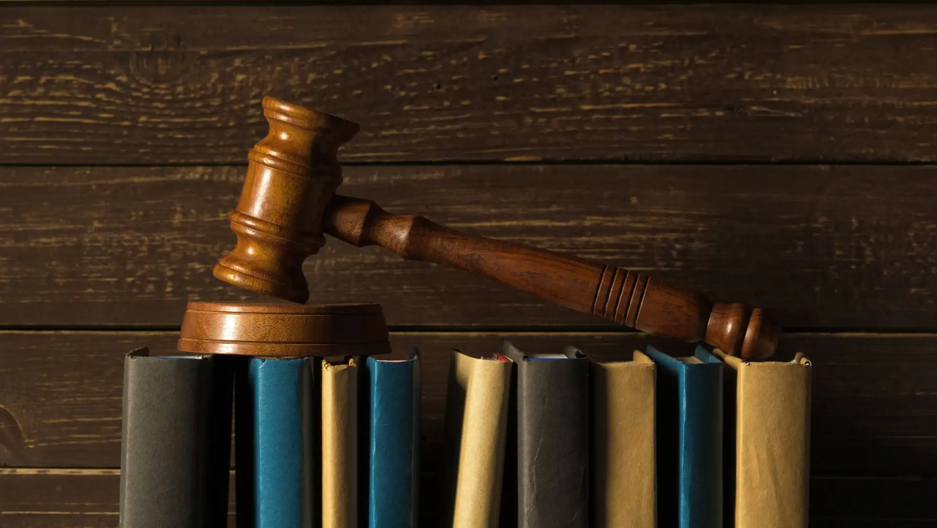 Our-verifier-is-the-judge-BIBUS-France