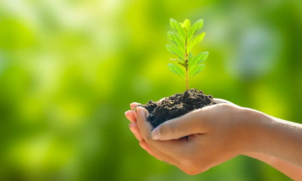 Politique-RSE-Environnement-BIBUS-France