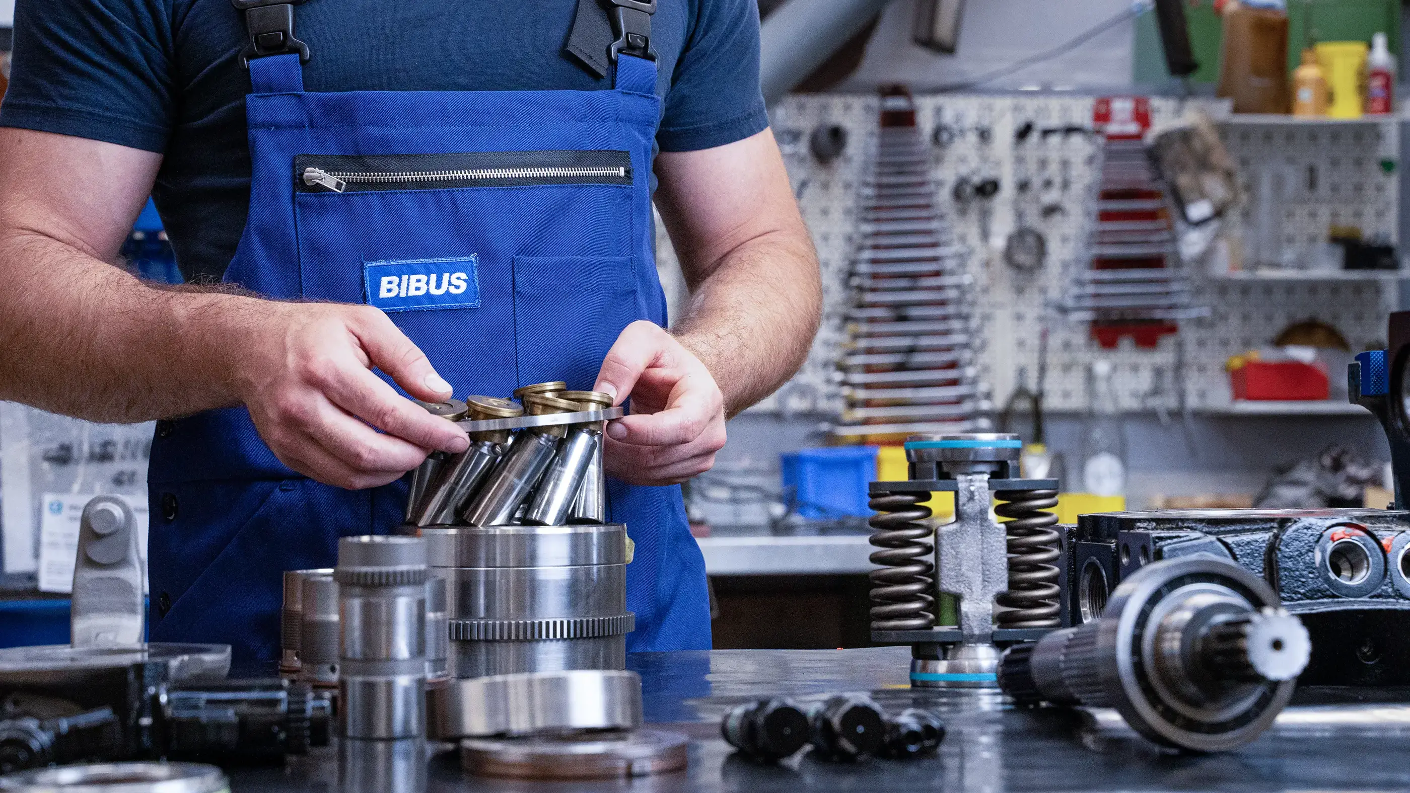 bibus-kernkompetenzen