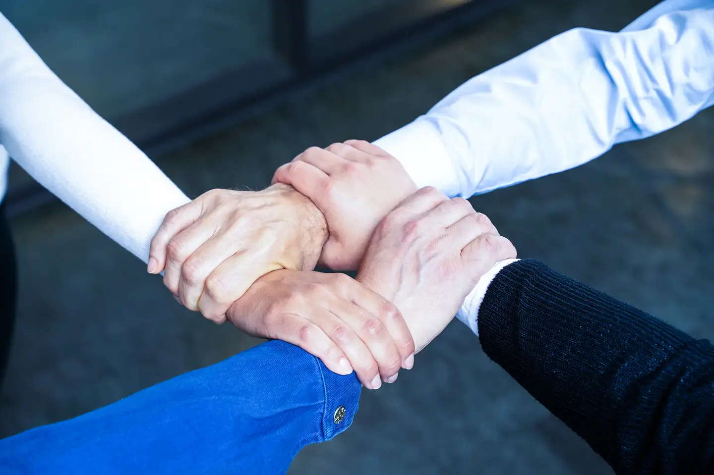 bibus-news-zanutto-hydraulik