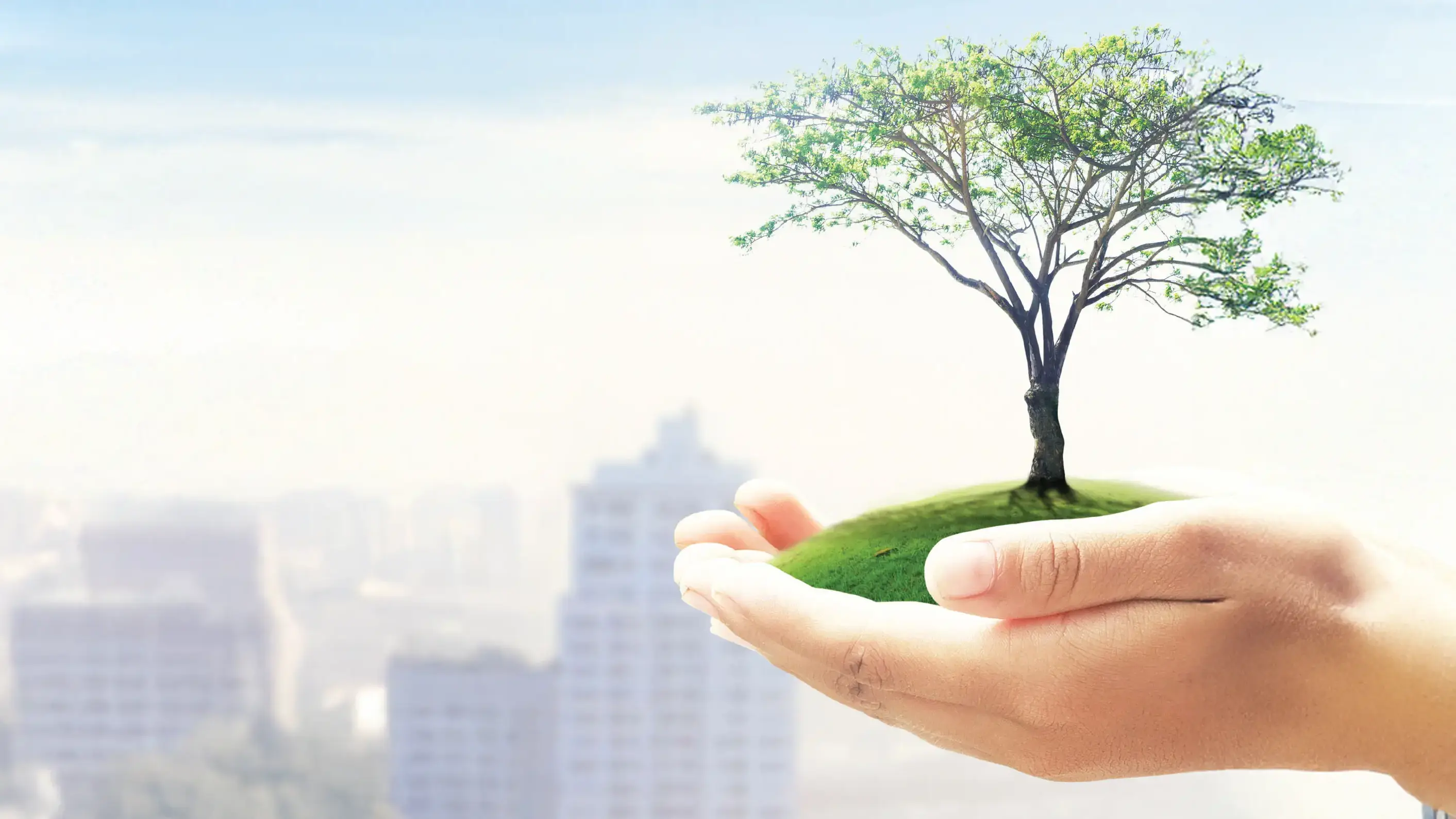 social responsibility